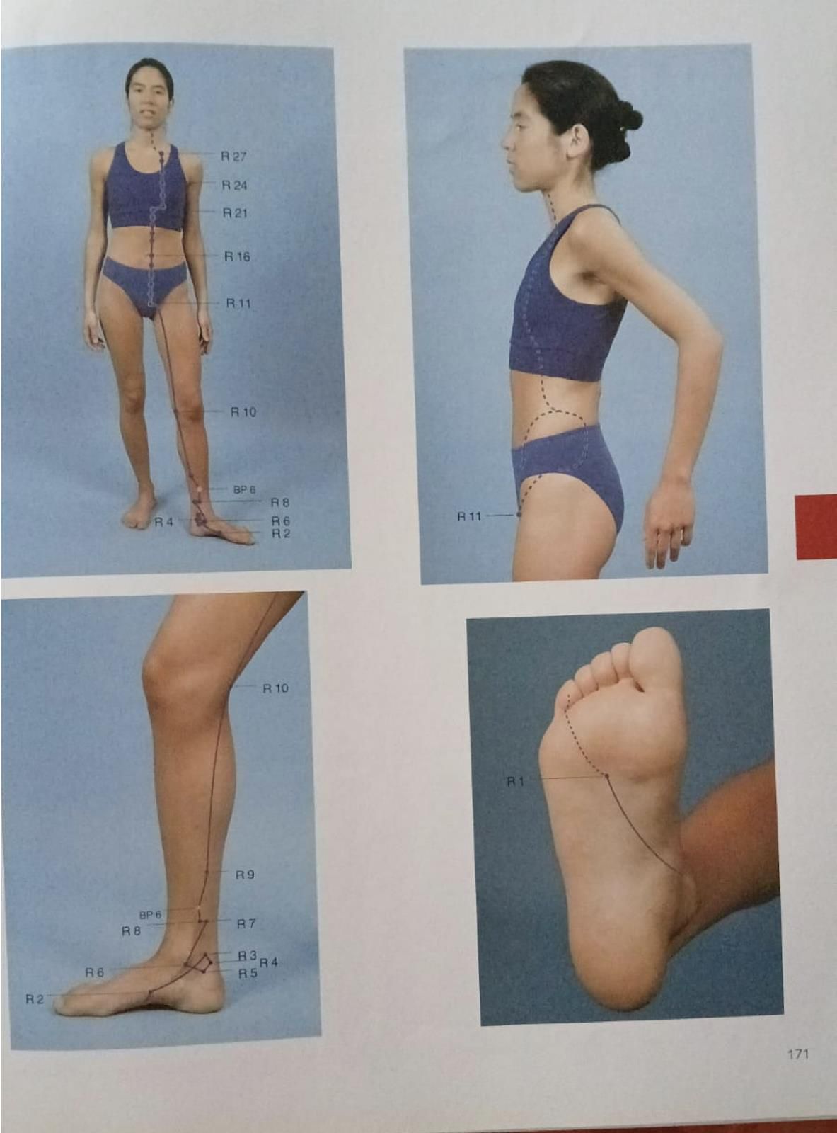 Descrição da imagem